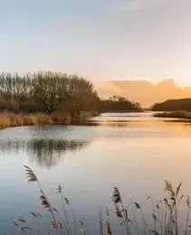 Biesbosch