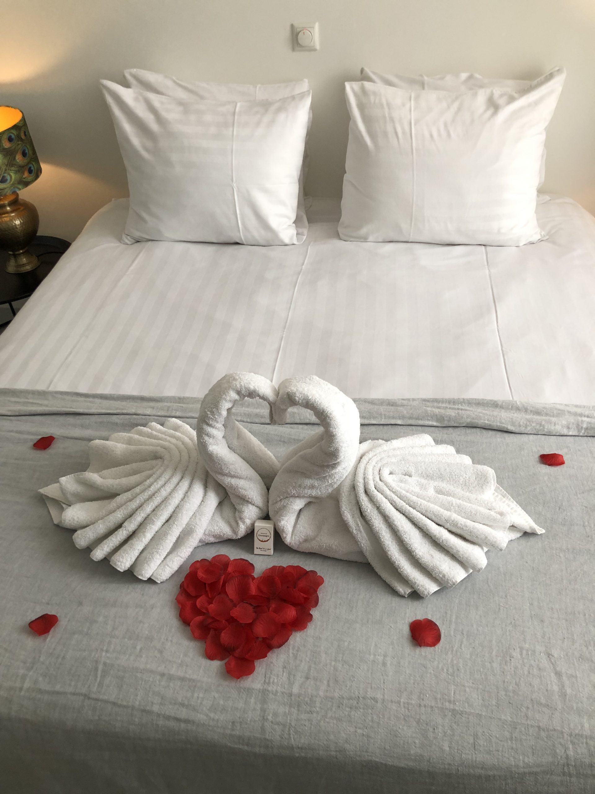 zwanen op bed